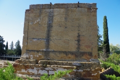 IMGP0324