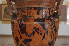 IMGP0537