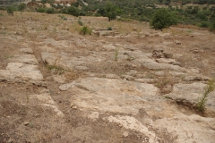 Road on the north side of the Punic Quarter.
