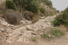 Ancient road leading up to the Temple of Demeter.