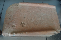 Roof tile with dog and shoe imprints. Displayed at the MuséAl.