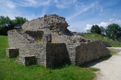 IMGP1493