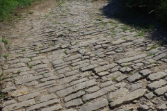 Road leading up through Ambrussum oppidum.