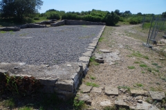 IMGP3908