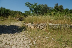 IMGP3913