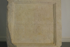 IMGP3957