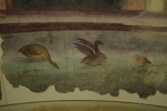 Detail of birds from a wall painting in a domus found in  the Via Fanti area of Ancona. Second half of the 1st century BCE. Museo Archeologico Nazionale delle Marche.