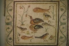 Aquatic mosaic, 2nd century CE. From the area of the Palazzo Abdom-Almagià in Ancona. Museo Archeologico Nazionale delle Marche.