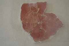 Gladiator graffito found in Orange and displayed in the Musée d'Art et d'Histoire d'Orange.