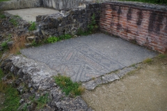 Mosaic in a room of the House of the Grand Peristyle.