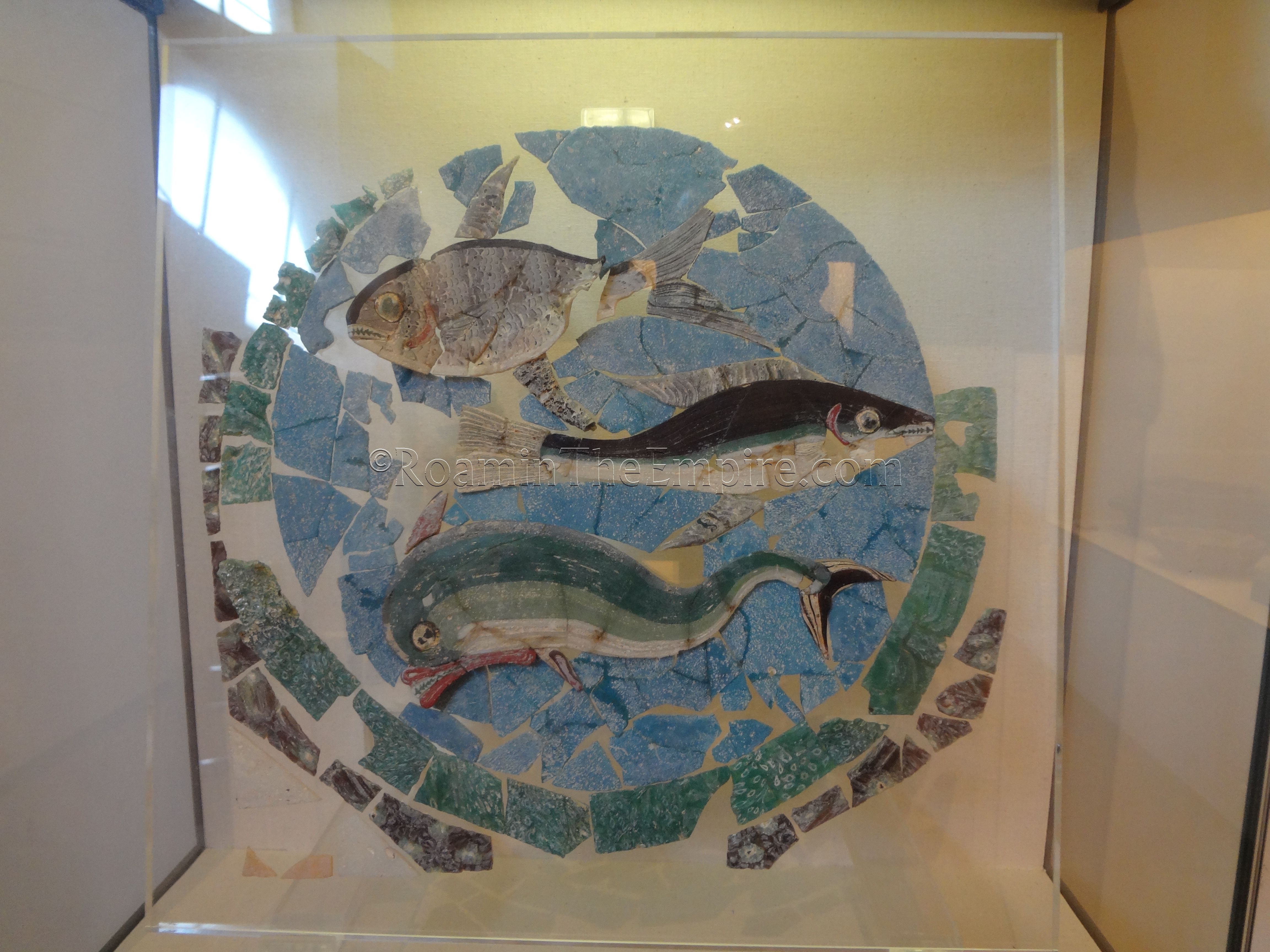 Glass panel featuring fish in the Museo della Città. Found in the triclinium of the Domus del Chirurgo.