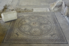 Orpheus mosaic in the Domus del Chirurgo.