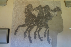 Mosaic depicting sea horses. From piazzetta di Porta Crucifera in Arezzo.
