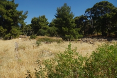 Area of the Roman era house.