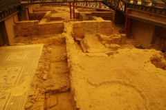 Domus del Mosaico del Oso y los Pájaros from the north.