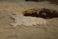 Detail of the opus sectile flooring in the Aedes Augusti.