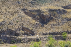 Cisterns visible to the east from the approach to the forum from the east.