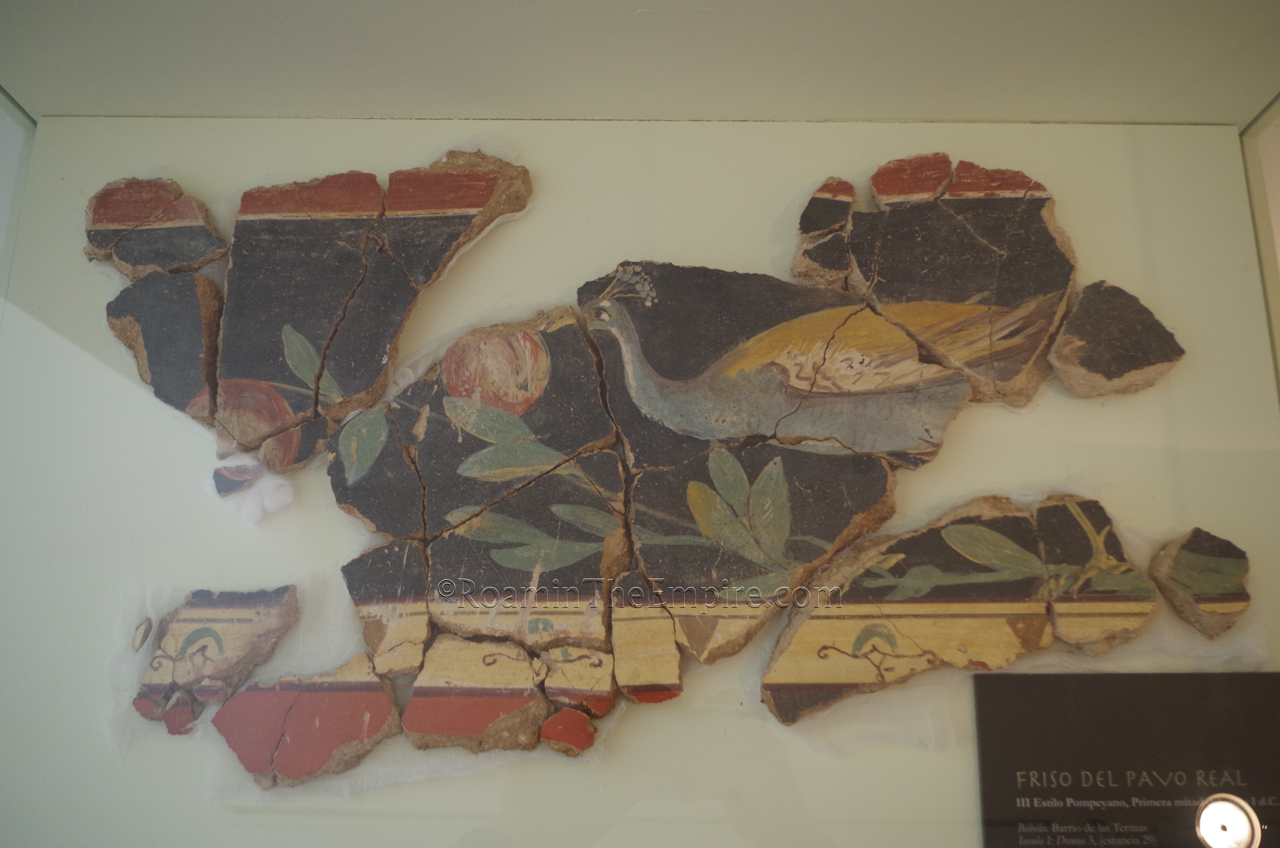Fragment of wall painting with a peacock. From domus 2 of the baths district. Dated to the early 1st century CE. Museo de Calatayud.