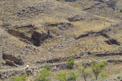 Cisterns along the base of the hill to the east of the site.