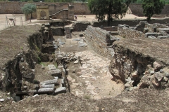 Cardo on the grounds of the Alcazaba.