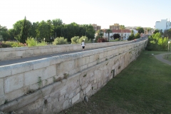 Albarregas River bridge.