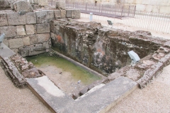 Eastern pool of the 'Temple of Diana'.