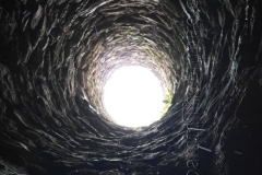 Looking up through the well from the well house.
