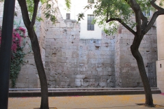 Section of the walls at Carrer de la Palla 16.