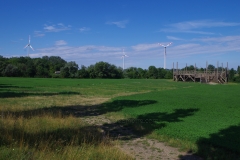 Area of the ludus and modern wooden amphitheater.