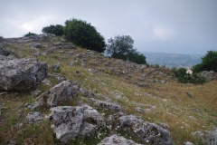 Odeion-Bouleuterion.