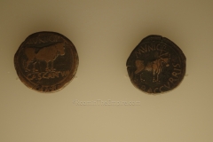 Coins from Cascantum (modern Cascante) and Calagurris (modern Calahorra) in the numismatic collection of Museo de León.