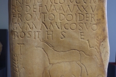 Vadinian funerary stele inscribed on quartzite river stone for 25 year old Tridius, son of Boderus, of the Alongi. Dedicated and placed by his fiend, Frontus of the Dioderigians. Frontus wishes for the earth to rest lightly on his friend. From Remolina. Museo de León.