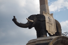 Detail of the basalt elephant of the Fontana Dell’Elefante.