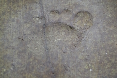 IMGP9540