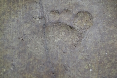 Detail of the infant footprint.