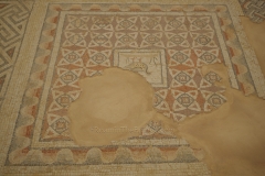Mosaic with an emblema of a partridge at the entrance room of the baths at the House of Eustolios.