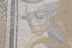 Mosaic from the frigidarium area of the Great Thermae.