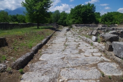 Decumanus running on the north side of the forum.