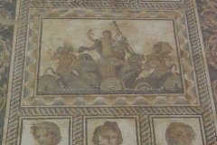 Detail of the  triumph of DIonysus mosaic from the Villa of Dionysus. Archaeological Museum of Dion.