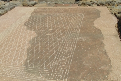 Mosaic pavement from the room of a house used for hosting symposia.