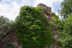 Section of wall with aqueduct running along the top.