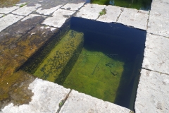 Hot pool adjacent to the natatio of the 1st century CE complex.