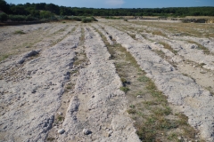 Cart ruts near the La Couronne quarry.