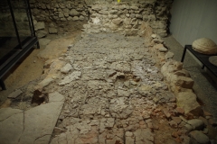 Grain processing area in the Site Archéologique Cathédrale St-Pierre Genève.