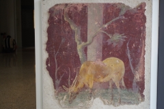 Wall painting of a gazelle dating to about 38 CE from the library of Asinius Pollio in Rome. Musée d'Art et d'Histoire.