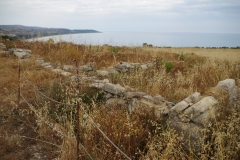 Overgrown remains in the southern area of excavation.