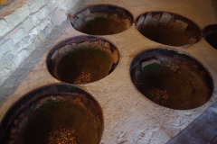 Wine cellar area of the domus. Museum of Mosaics.