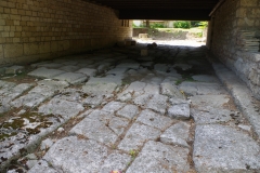 Northern decumanus running under the Museum of Mosaics.