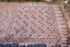 Mosaic in the southern area of the Theater Quarters.
