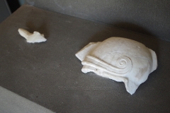 Fragments of the relief from the podium of the Augustan tropaeum depicting a ship's ram.  Archaeological Museum of Nicopolis.